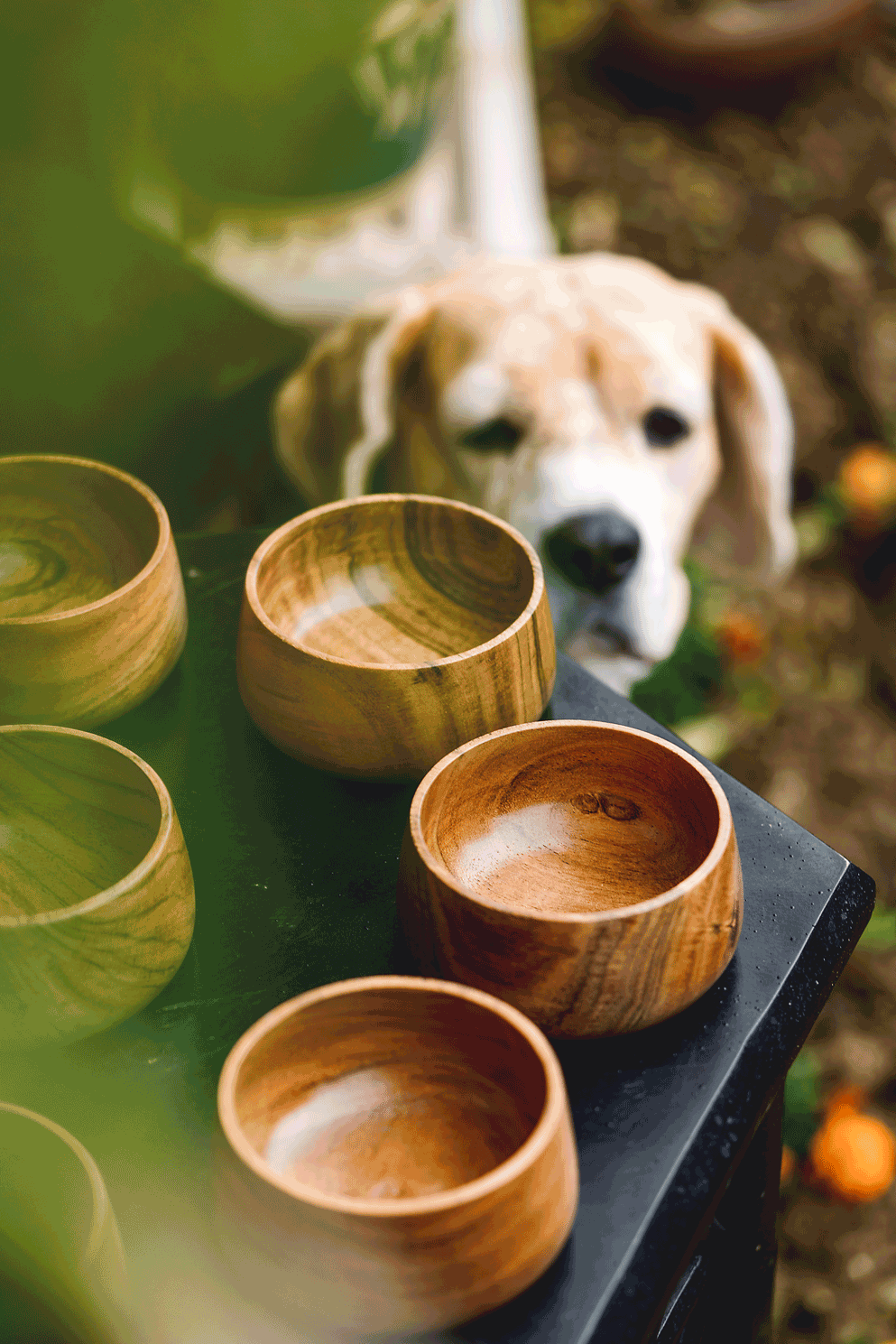 Thumbnail preview #10 for Gumbad - Small wooden dip bowls (set of 2)