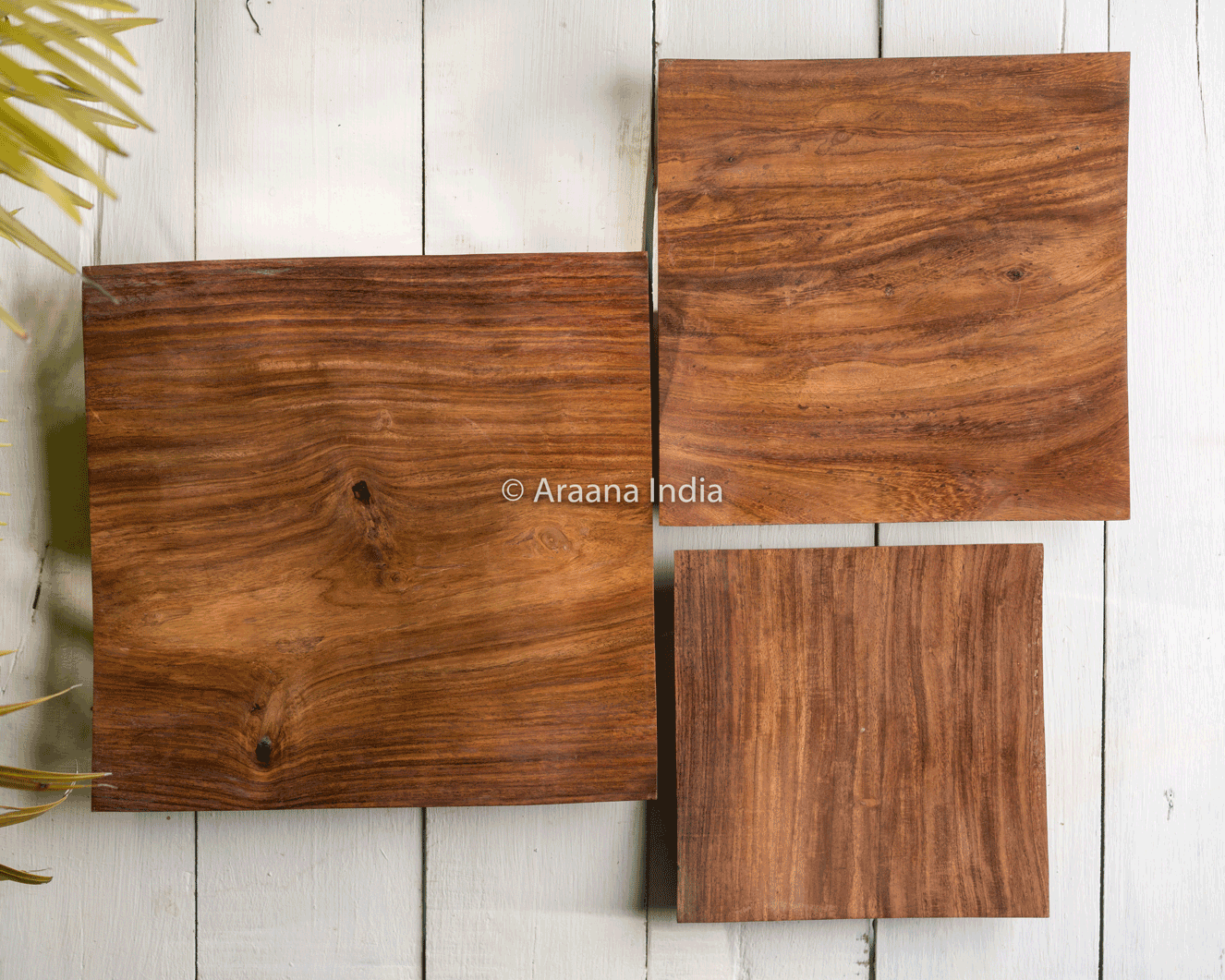 Thumbnail preview #2 for Mandhas - Set of 3 wooden platters
